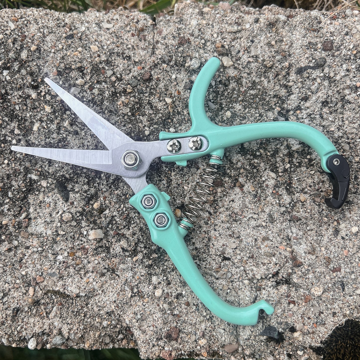 Carbon Steel Pruning Shears