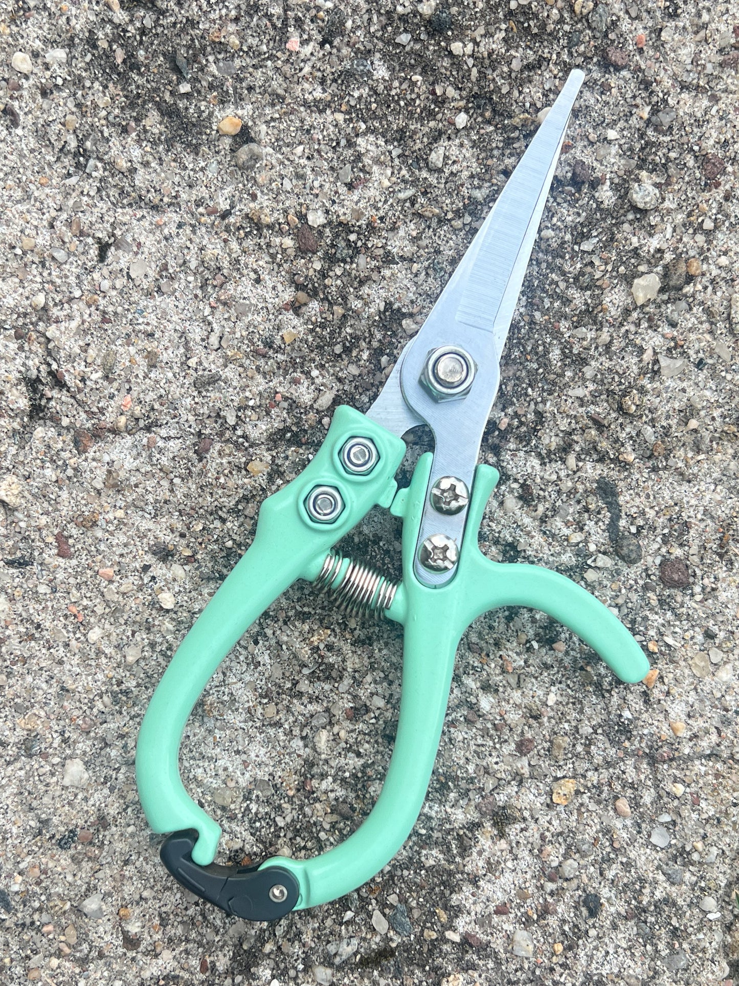 Carbon Steel Pruning Shears