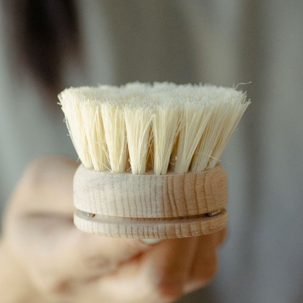 Dish Brush Replacement Head