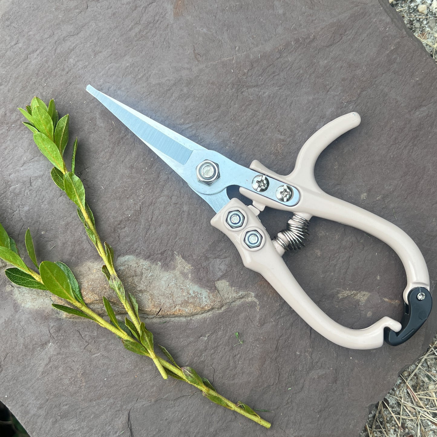 Carbon Steel Pruning Shears