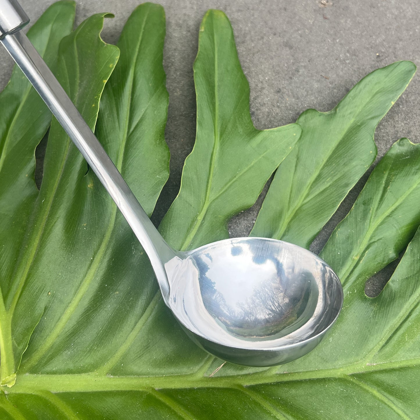 Stainless Steel Ladle