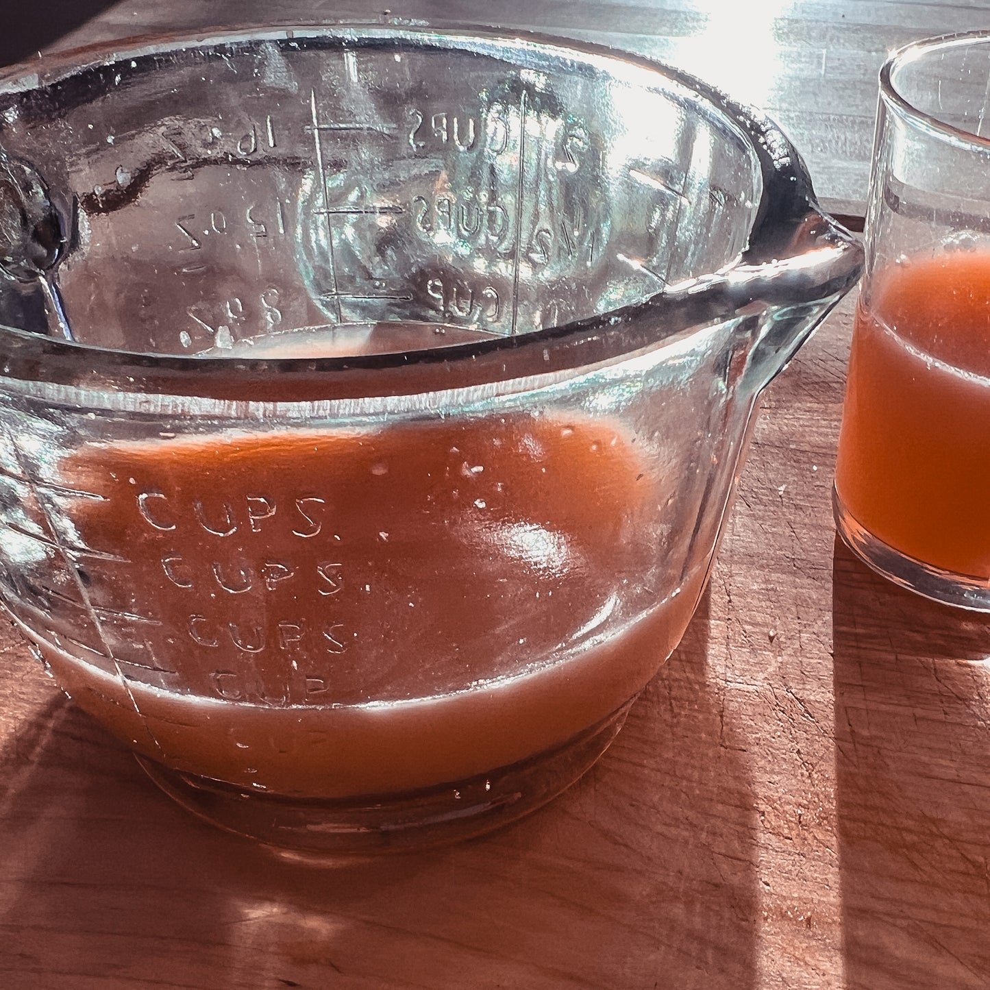 Glass Citrus Juicer