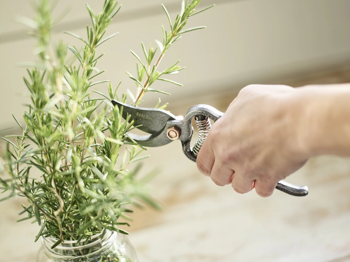Barebones Pruner