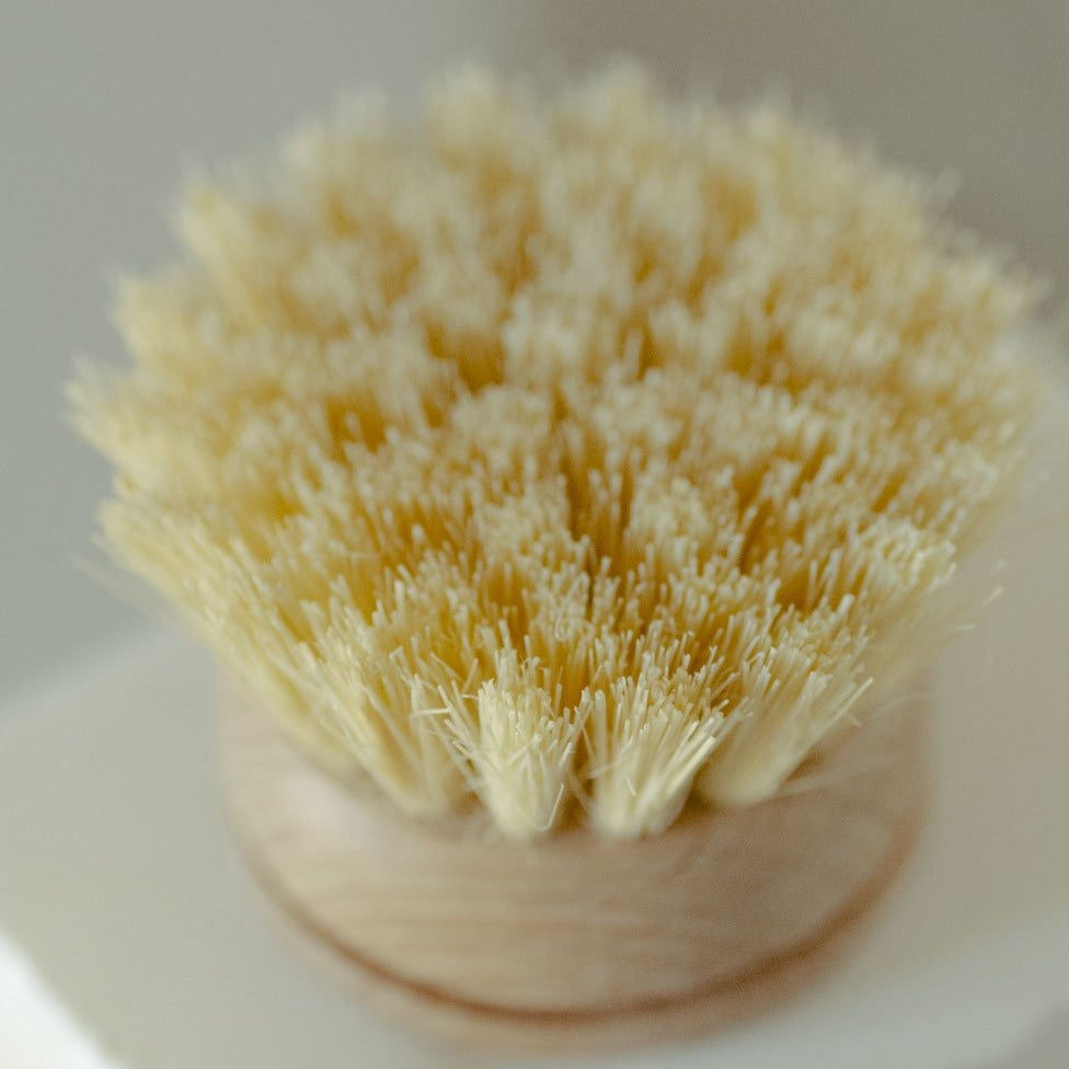 Dish Brush Replacement Head