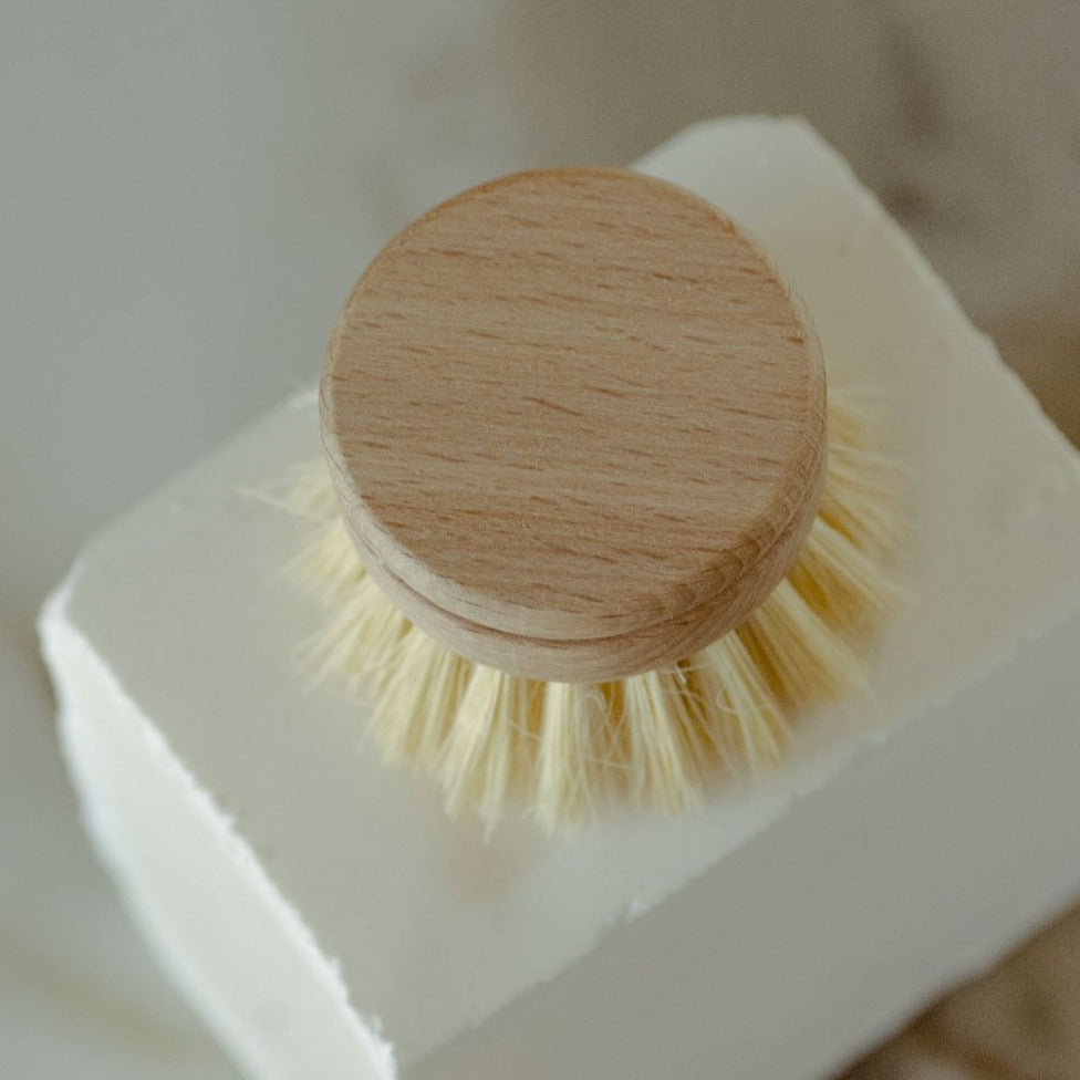 Dish Brush Replacement Head