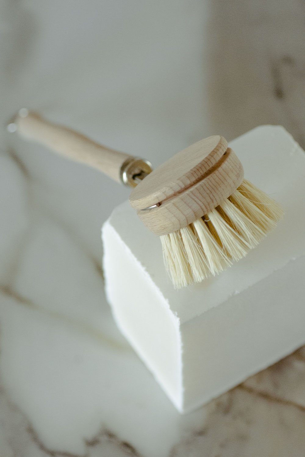 Dish Brush with Replaceable Head