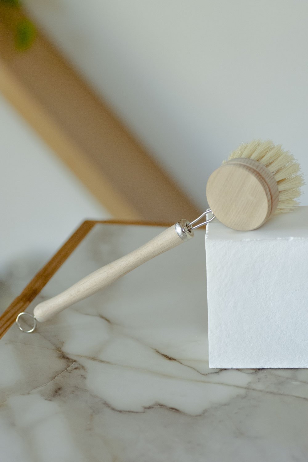 Dish Brush with Replaceable Head