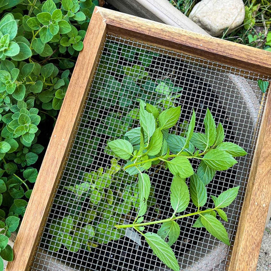 Herb Drying Rack