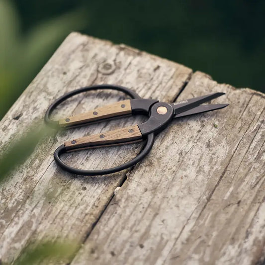 Small Garden Scissors