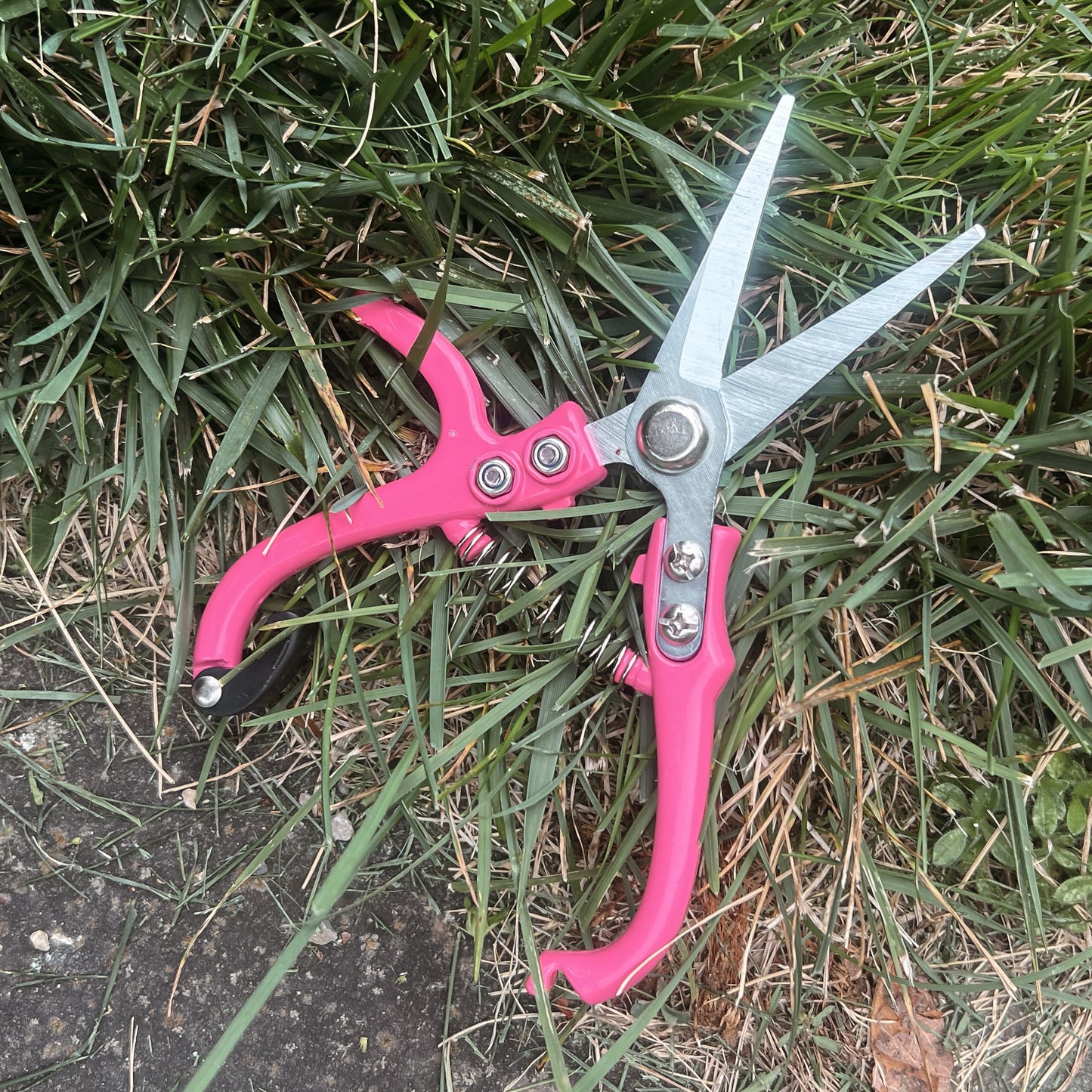Carbon Steel Pruning Shears