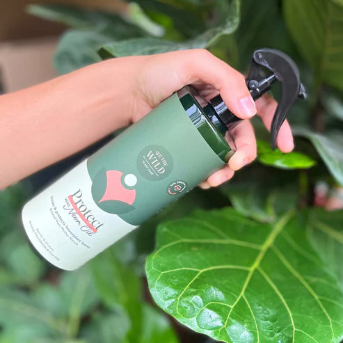 Protect Leaf Spray with Neem Oil