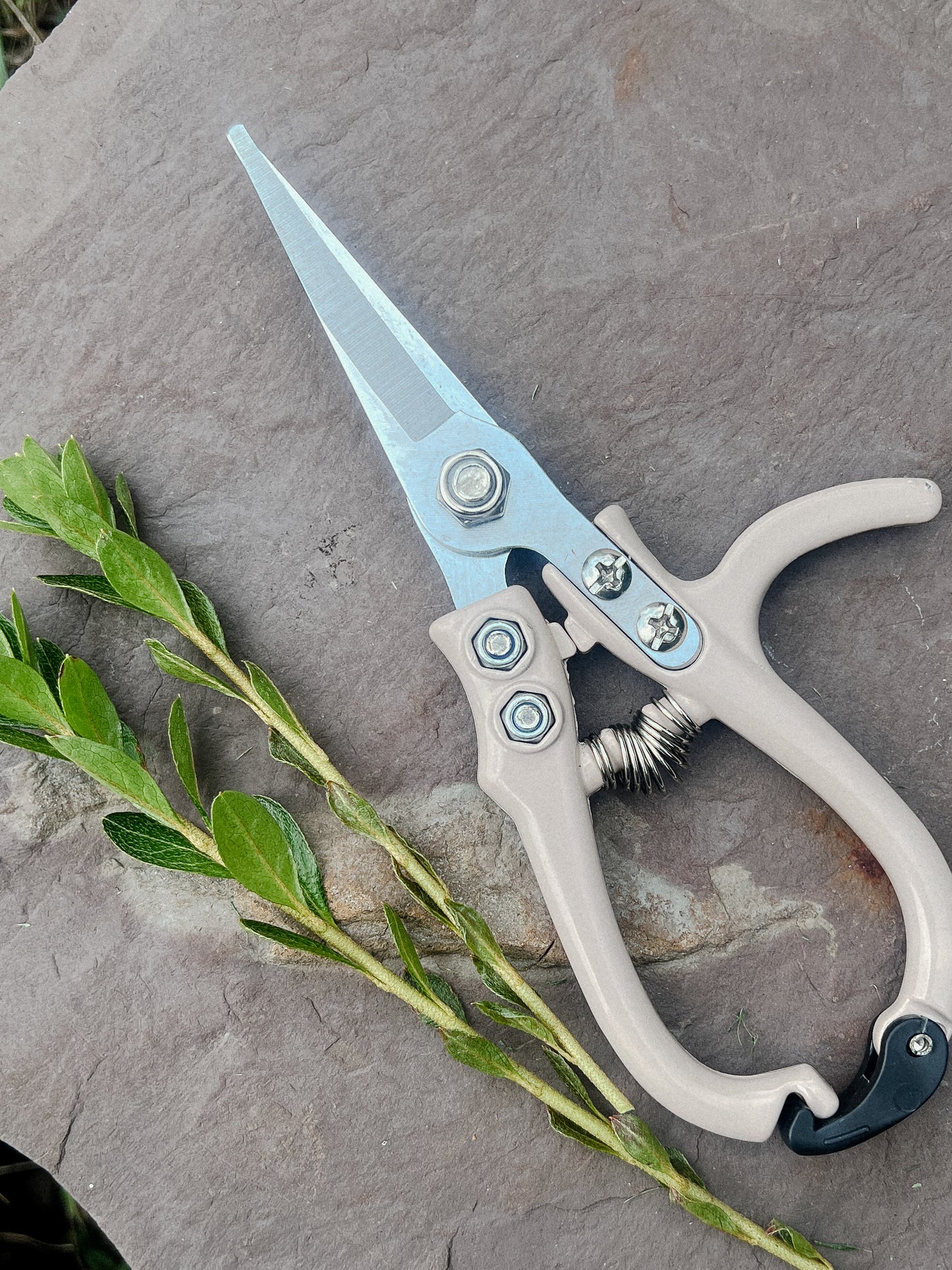 Carbon Steel Pruning Shears