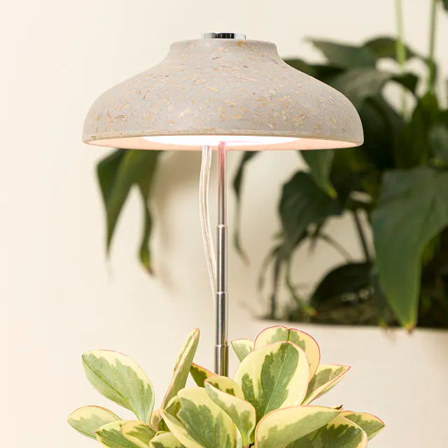 Instant Sun Grow Lamp