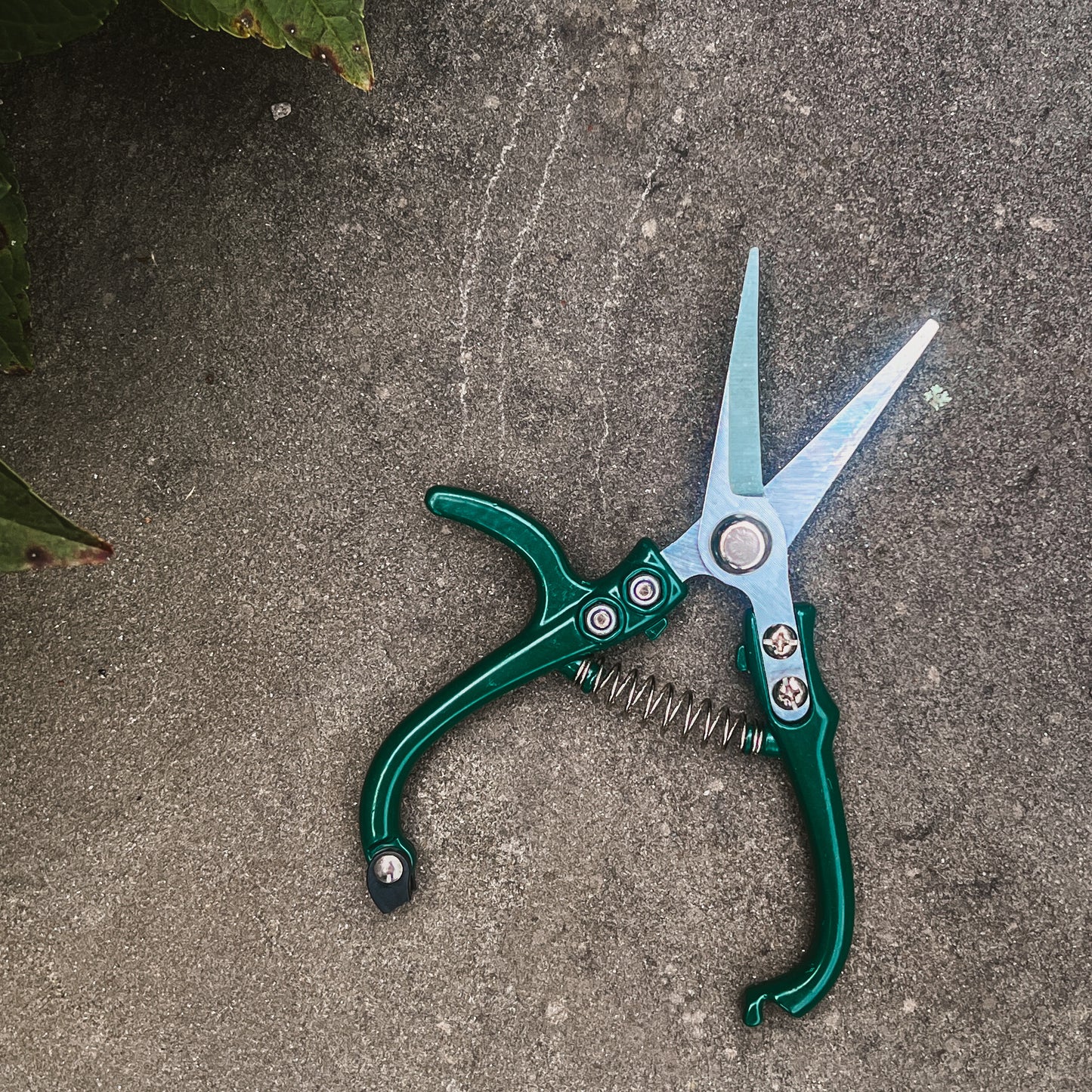 Carbon Steel Pruning Shears