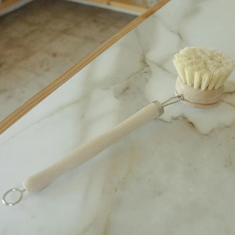 Dish Brush with Replaceable Head