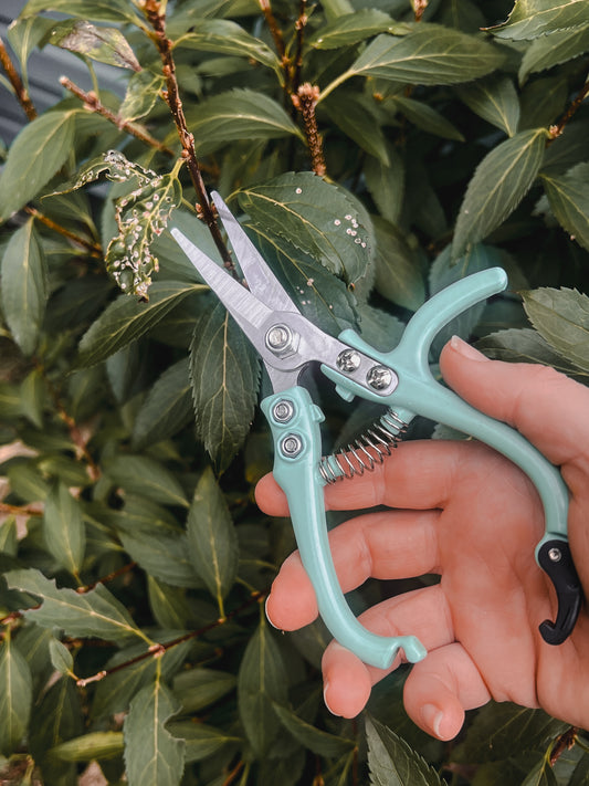 Carbon Steel Pruning Shears