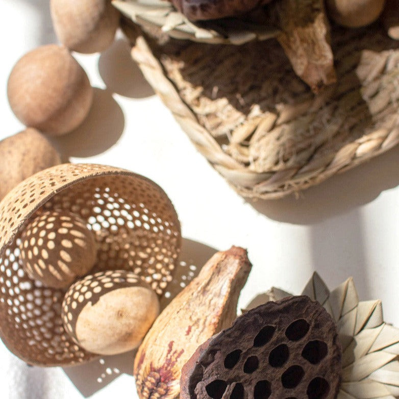 Dried Botanical Garland