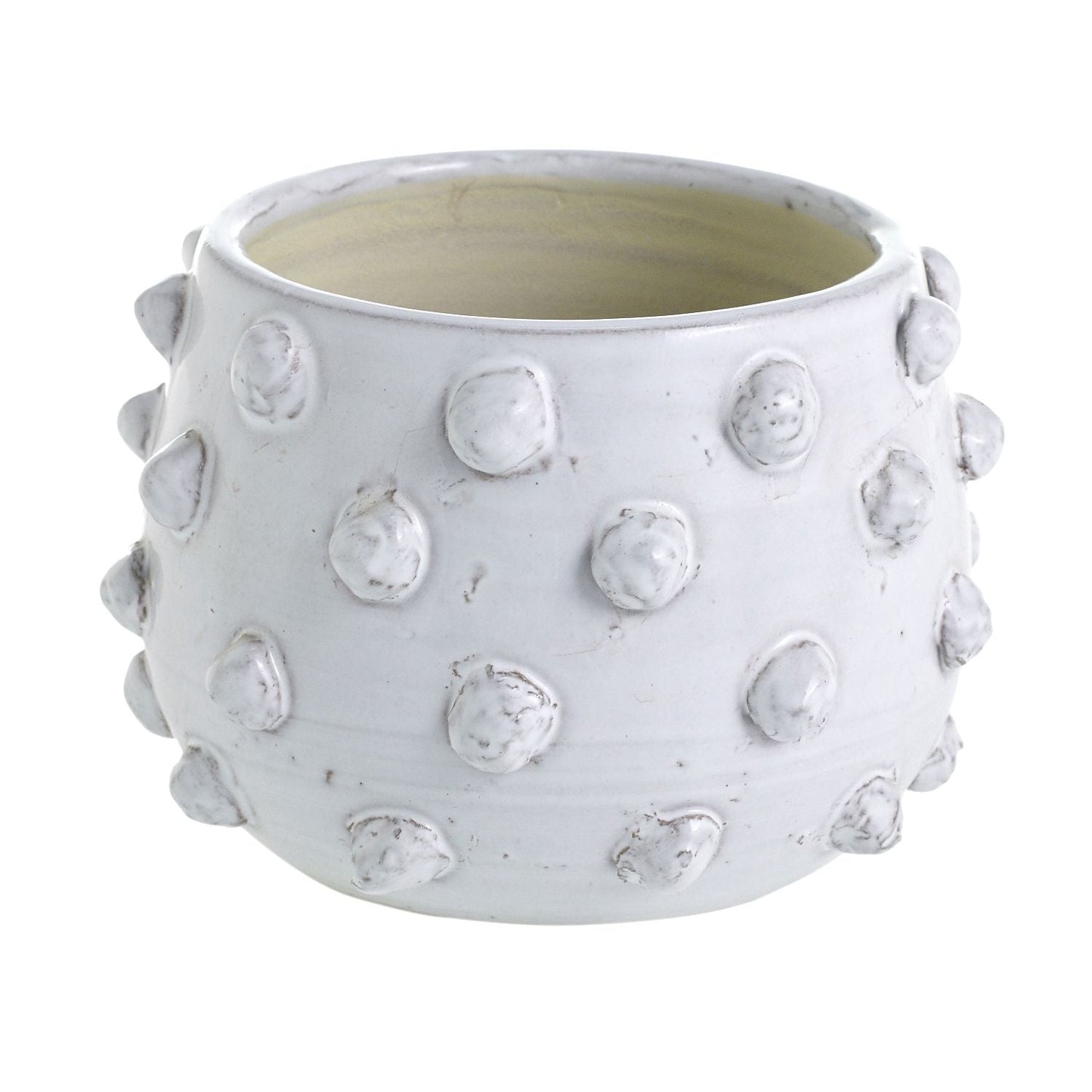 Studded Fem Rosa Pot