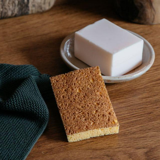 Natural Dish Sponge